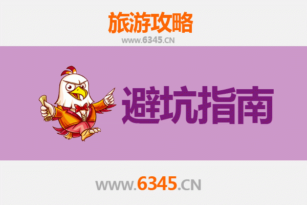 云林斗南旅游全攻略：资深博主私藏忠告与须知